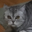 KSSILVER