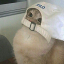 RegelHD