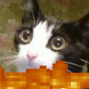 errorWoo2