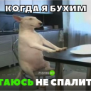 Vasyliusok