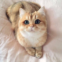 SWAG_TRAP