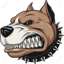 Ignat_Dragon