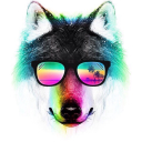 wollf_008