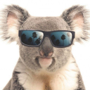 koalabob