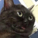 Meolol