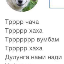 3Loy_Pivasik